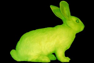 'Alba' glowing in the dark bunny, by Eduardo Kac