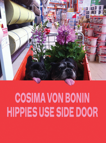 cosima-von-bonin-hippies-use-side-door-49
