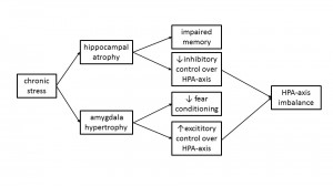 PostStressBrainfigure2