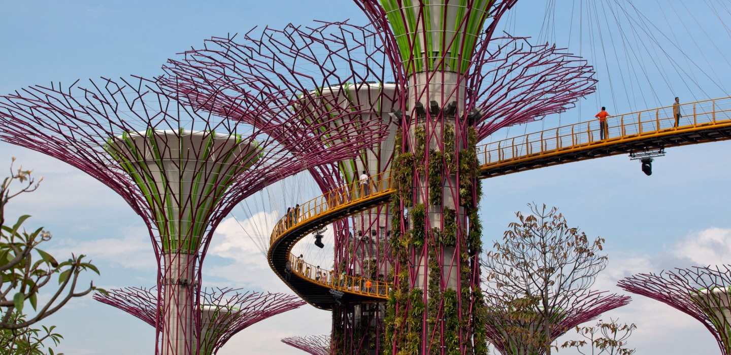 Supertrees of the Gardens By The Bay project