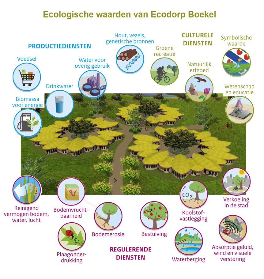 Ecologische-waarde-van-Ecodorp-Boekel